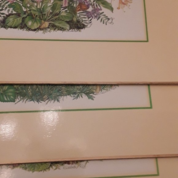 Set of 3 Floral Cork Table Mats Clover Leaf Elizabeth Rice Design UK 15x11.5 - Picture 9 of 9